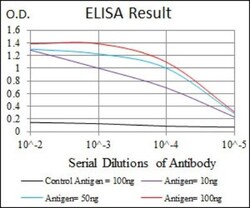 PDX-1/IPF1 Antibody (2G12) - BSA Free, Novus Biologicals 0.025 mL, Unlabeled:Antikörper