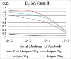 PDX-1/IPF1 Antibody (5A5) - BSA Free, Novus Biologicals:Antibodies:Primary