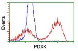 Pyridoxal Kinase/PDXK Antibody (OTI5H5), Novus Biologicals 0.1mL; Unlabeled:Antibodies,