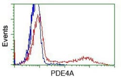 Phosphodiesterase 4A/PDE4A Antibody (OTI1C8), Novus Biologicals 0.1mL;