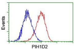 PIH1D2 Antibody (OTI4A10), Novus Biologicals 0.1mL; Unlabeled:Antibodies,