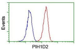 PIH1D2 Antibody (OTI4A10), Novus Biologicals 0.1mL; Unlabeled:Antibodies,