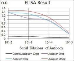 PIWIL4 Antibody (10G9B11) - BSA Free, Novus Biologicals:Antibodies:Primary