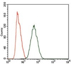 PIWIL4 Antibody (10G9B11) - BSA Free, Novus Biologicals:Antibodies:Primary
