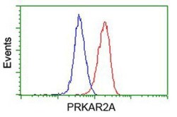 PKA R2 Antibody (OTI1F8), Novus Biologicals 0.1mL; Unlabeled:Antibodies,