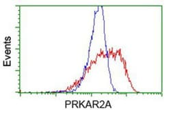 PKA R2 Antibody (OTI1F8), Novus Biologicals 0.1mL; Unlabeled:Antibodies,