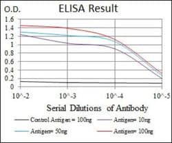 PKA C-gamma Antibody (2E4), Novus Biologicals 0.025 mL, Unlabeled:Antibodies,