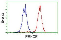 PKC epsilon Antibody (OTI4G8), Novus Biologicals 0.1mL; Unlabeled:Antibodies,