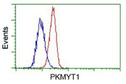 PKMYT1 Antibody (OTI5E1), Novus Biologicals 0.1mL; Unlabeled:Antibodies,