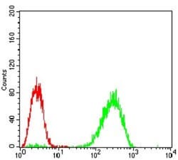 PKR Antibody (6H3A10) - BSA Free, Novus Biologicals 0.1mL; Unlabeled:Antibodies,