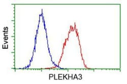 PLEKHA3 Antibody (OTI5D11), Novus Biologicals 0.1mL; Unlabeled:Antibodies,