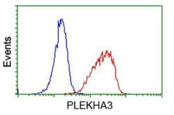 PLEKHA3 Antibody (OTI5D11), Novus Biologicals 0.1mL; Unlabeled:Antibodies,