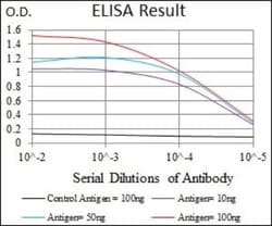 PLK1 Antibody (3C11) - BSA Free, Novus Biologicals 0.025 mL, Unconjugated:Antibodies,