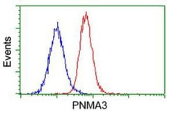 PNMA3 Antibody (OTI1C3), Novus Biologicals 0.1mL; Unlabeled:Antibodies,