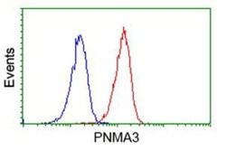 PNMA3 Antibody (OTI1C3), Novus Biologicals 0.1mL; Unlabeled:Antibodies,