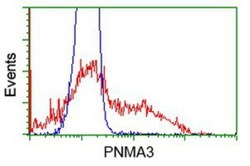 PNMA3 Antibody (OTI1C3), Novus Biologicals 0.1mL; Unlabeled:Antibodies,