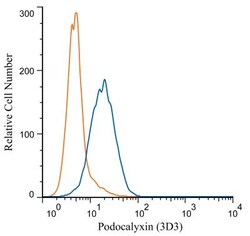 Podocalyxin Like Antibody (3D3), PE, Novus Biologicals 100 Tests; PE:Antibodies,