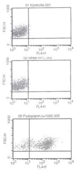 Podoplanin Antibody (18H5), Biotin, Novus Biologicals 0.05mg; Biotin:Antibodies,