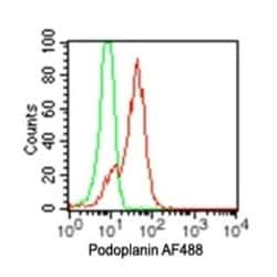 Podoplanin Antibody (pmab-1) - BSA Free, Novus Biologicals 0.1mg; Unlabeled:Antibodies