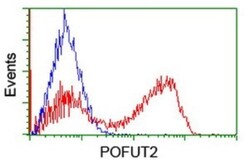 POFUT2 Antibody (OTI3A12), Novus Biologicals 0.1mL; Unlabeled:Antibodies,