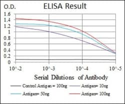 PP2C alpha/PPM1A Antibody (7F12) - BSA Free, Novus Biologicals:Antibodies:Primary