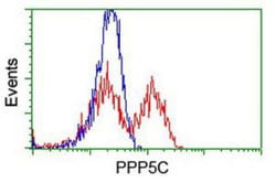 PP5 Antibody (OTI2E12), Novus Biologicals 0.1mL; Unlabeled:Antibodies,