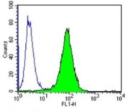 PPAR alpha/NR1C1 Antibody (3B6/PPAR) - BSA Free, Novus Biologicals 100