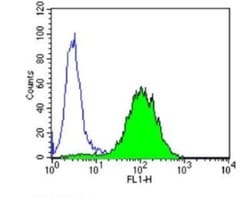 PPAR alpha/NR1C1 Antibody (3B6/PPAR) - BSA Free, Novus Biologicals 100