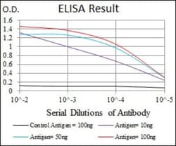 Pref-1/DLK1/FA1 Antibody (3A10), Novus Biologicals:Antibodies:Primary Antibodies