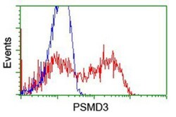 Proteasome 19S S3 Antibody (OTI2A2), Novus Biologicals 0.1mL; Unlabeled:Antibodies,