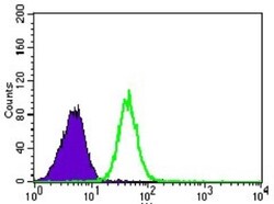 PSAP Antibody (4D5F4) - BSA Free, Novus Biologicals:Antibodies:Primary