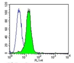 PSD-95 Antibody (6G6-1C9) - BSA Free, Novus Biologicals 0.1mL; Unlabeled:Antibodies,