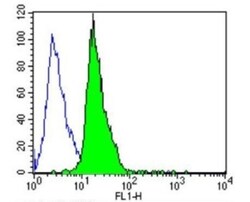 PSD-95 Antibody (6G6-1C9) - BSA Free, Novus Biologicals 0.1mL; Unlabeled:Antibodies,