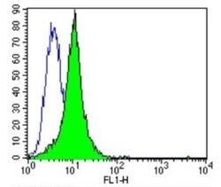 PSD-95 Antibody (6G6-1C9) - BSA Free, Novus Biologicals 0.1mL; Unlabeled:Antibodies,