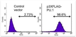 PU.1/Spi-1 Antibody, Novus Biologicals 0.1mg; Unlabeled:Antibodies, Polyclonal