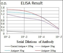 Rab4 Antibody (4E11) - BSA Free, Novus Biologicals 0.1mL; Unlabeled:Antibodies,