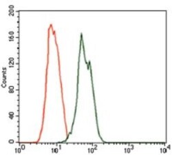 Rab4 Antibody (4E11) - BSA Free, Novus Biologicals 0.1mL; Unlabeled:Antibodies,