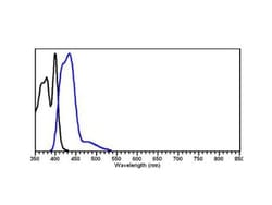 Rabbit anti-Goat IgG Fc Secondary Antibody, DyLight 405, Novus Biologicals