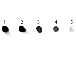 Rabbit anti-Human IgG (H+L) Secondary Antibody, Alkaline Phosphatase, Novus Biologicals&trade;