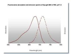 Rabbit anti-Mouse IgG1 Heavy Chain Secondary Antibody, DyLight 680, Novus Biologicals™