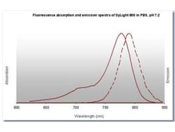 Rabbit anti-Mouse IgG2a Heavy Chain Secondary Antibody, DyLight 800, Novus Biologicals™