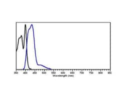 Rabbit anti-Mouse IgG2b Heavy Chain Secondary Antibody, DyLight 405, Novus Biologicals&trade;