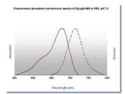 Rabbit anti-Mouse IgG2b Heavy Chain Secondary Antibody, DyLight 680, Novus Biologicals™