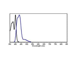 Rabbit anti-Sheep IgG (H+L) Secondary Antibody, DyLight 405, Novus Biologicals™