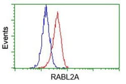 RABL2A Antibody (OTI4A8), Novus Biologicals 0.1mL; Unlabeled:Antibodies,