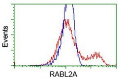 RABL2A Antibody (OTI4A8), Novus Biologicals 0.1mL; Unlabeled:Antibodies,