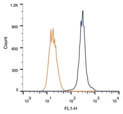 Rad51C Antibody (2H11/6) - BSA Free, Novus Biologicals:Antibodies:Primary