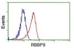 RBBP9 Antibody (OTI4G3), Novus Biologicals 0.1mL; Unlabeled:Antibodies,