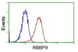 RBBP9 Antibody (OTI4G3), Novus Biologicals 0.1mL; Unlabeled:Antibodies,