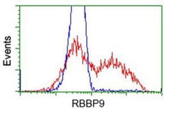 RBBP9 Antibody (OTI4G3), Novus Biologicals 0.1mL; Unlabeled:Antibodies,